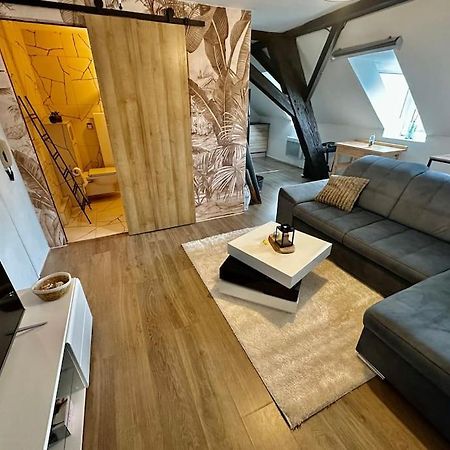 Logement Entier Au Coeur De Στρασβούργο Εξωτερικό φωτογραφία