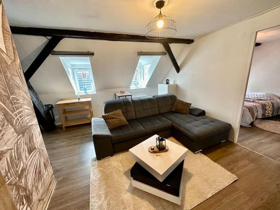 Logement Entier Au Coeur De Στρασβούργο Εξωτερικό φωτογραφία